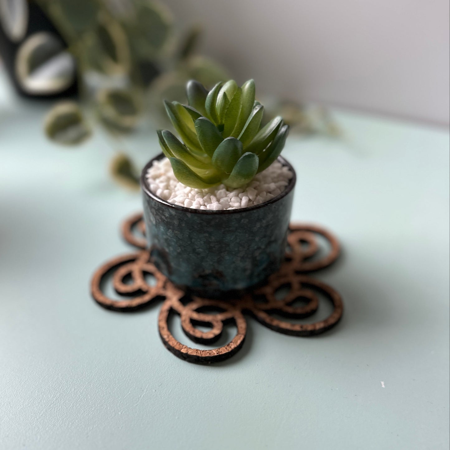 Small succulent plant in a pot on a decorative coaster with a blurred background