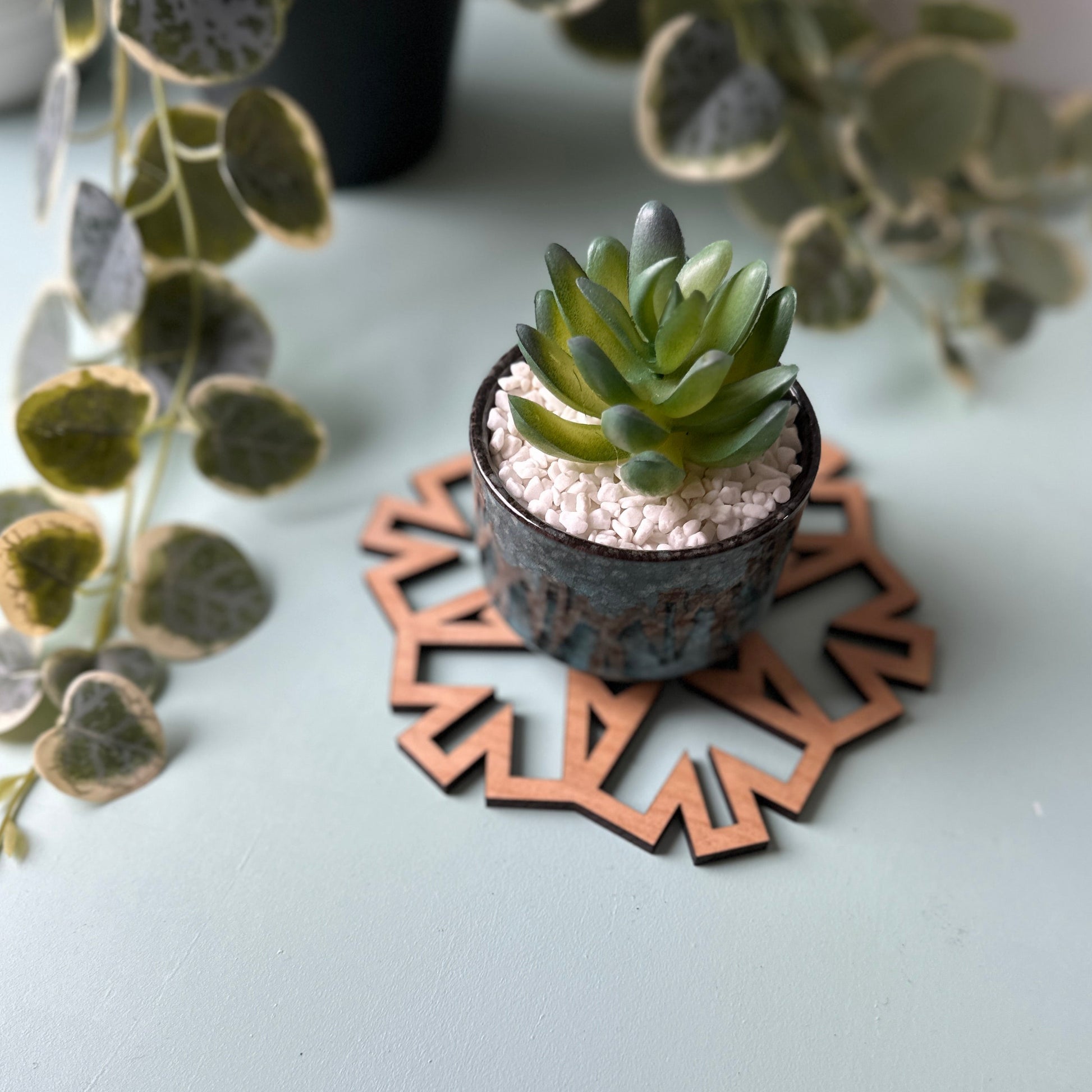 Small succulent plant in a pot on a decorative trivet with a light background