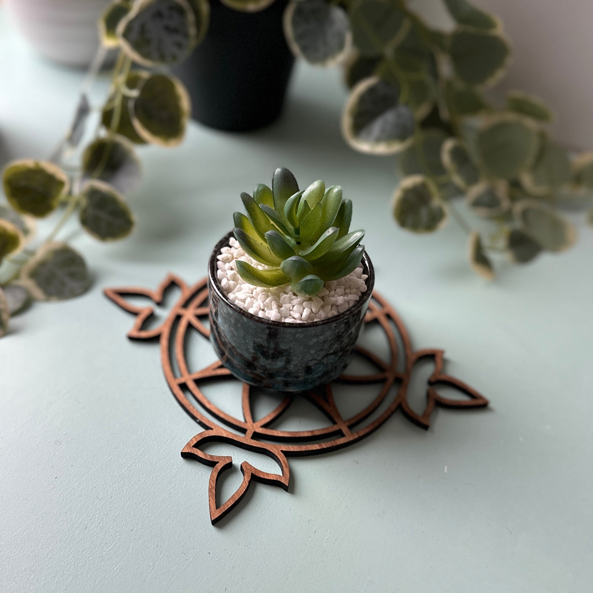 Small potted plant on a stained glass trivet with leaves in the background
