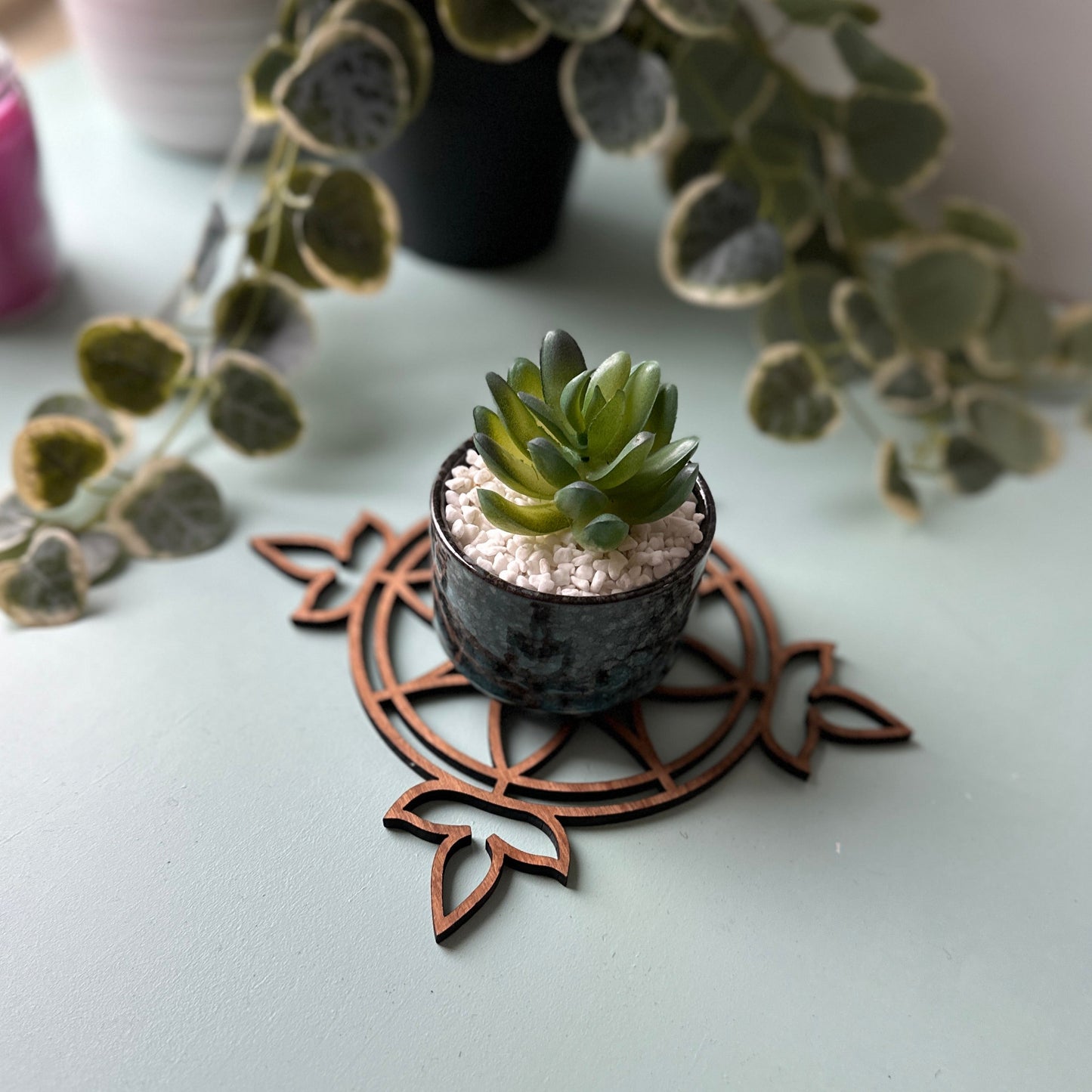 Small potted plant on a stained glass trivet with leaves in the background