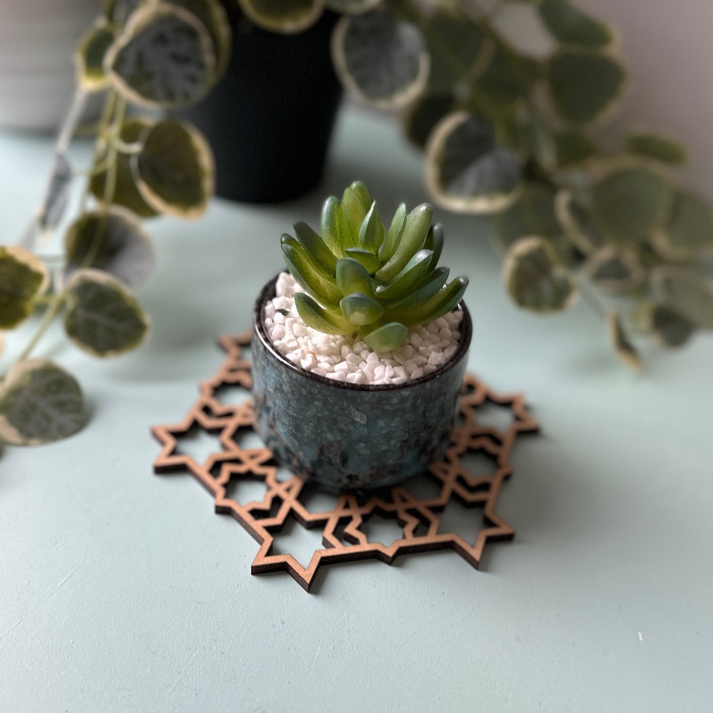Small succulent plant in a decorative pot on a trivet with blurred greenery in the background.