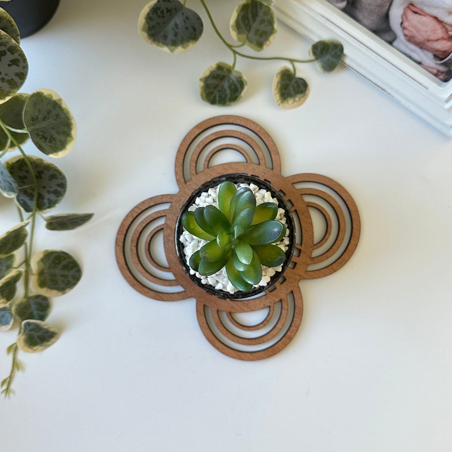 Decorative wooden trivet with a small potted plant on a white surface, next to a framed photo of a couple.